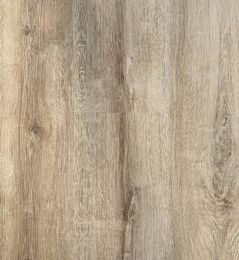  Alta Step   SPC8804
